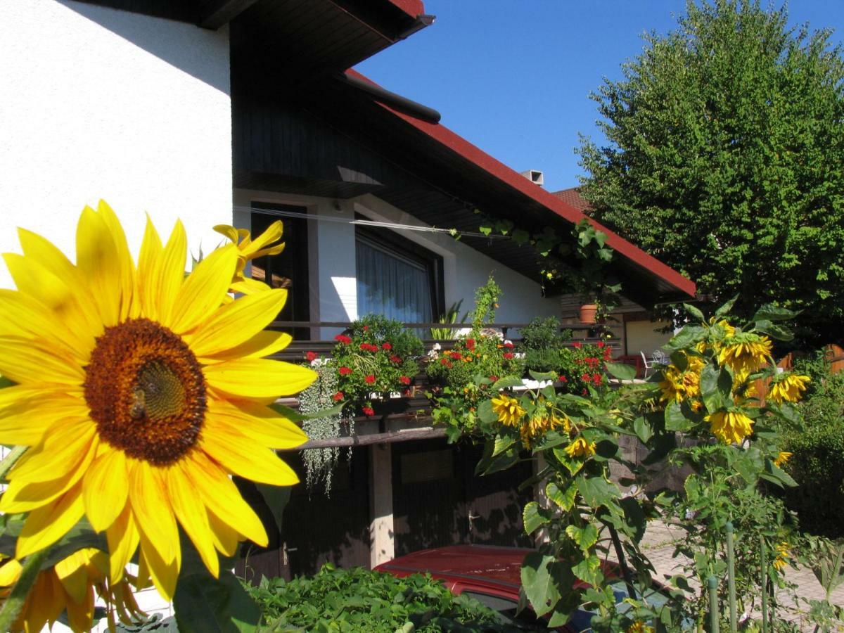 Apartment Mala Bled Bagian luar foto